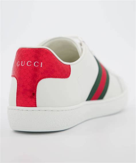 gucci damen turnschuhe